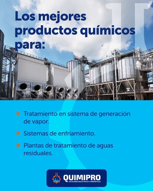 Nuestro equipo