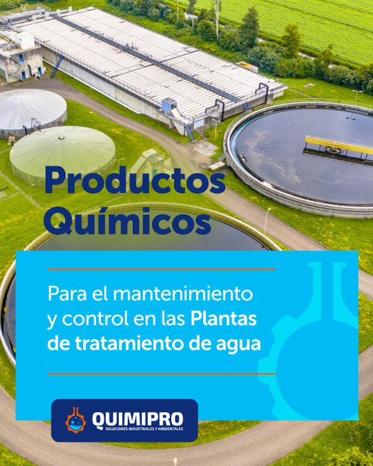 Nuestro equipo